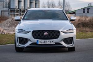 Jaguar XE P250 SE R-Dynamic 2019 года  (WW)